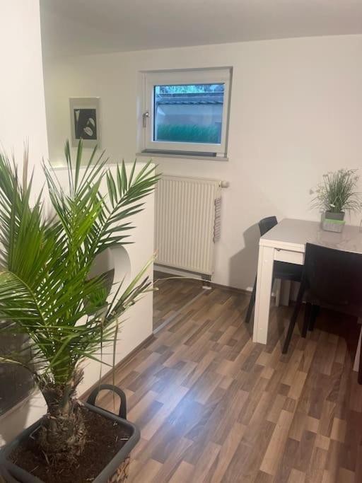 Gemuetliches Einliegerapartment, 50 Qm Trippstadt Eksteriør billede